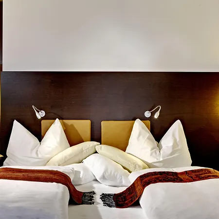 Hotel Alpen-karawanserai Saalbach-Hinterglemm